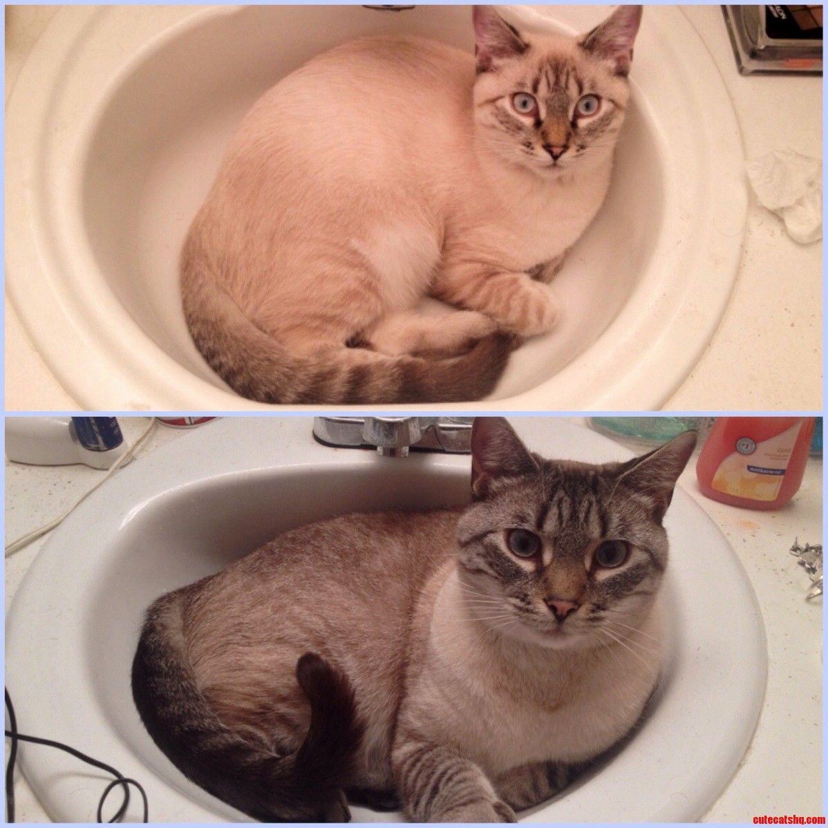 Oh How He Has Grown