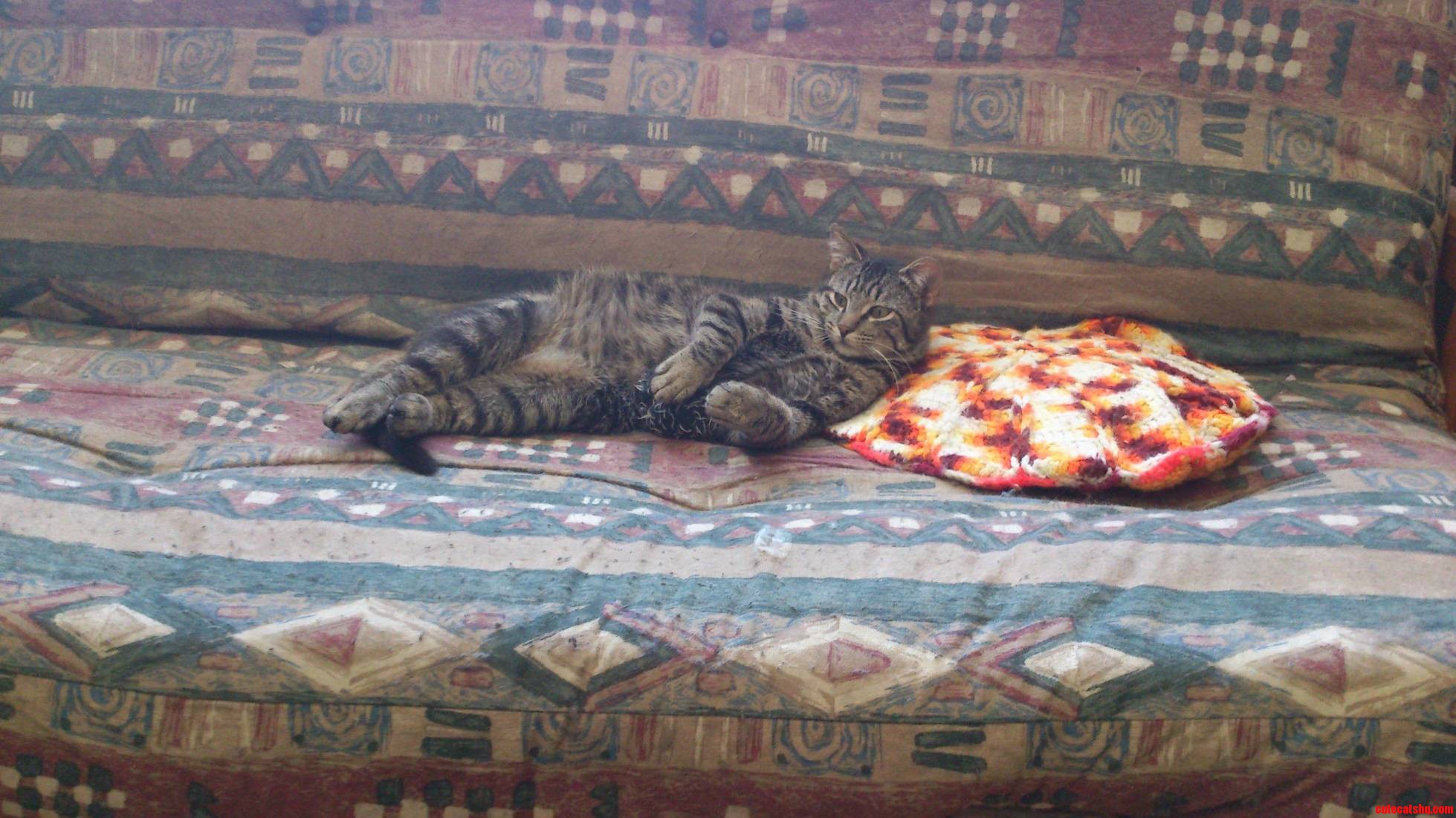 Oh Im Sorry I Didnt Mean to Wake Your Majesty