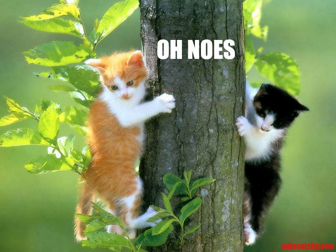 Oh Noes Y All.