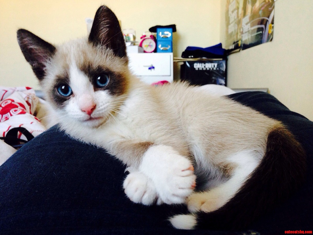 Oh Them Beautiful Blue Eyes
