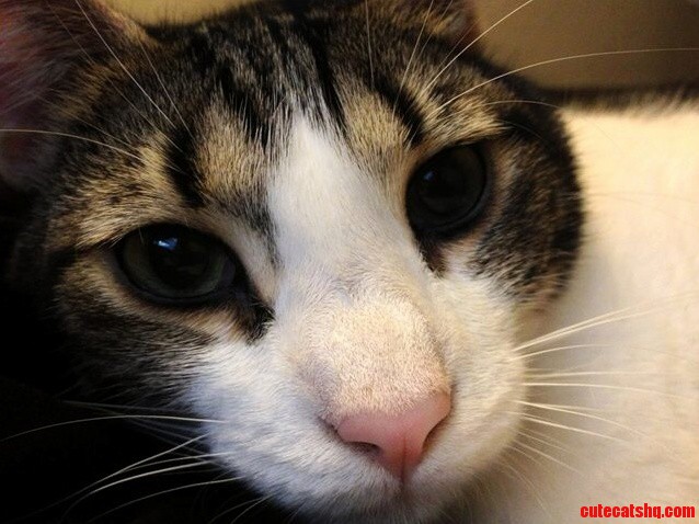 Oliver