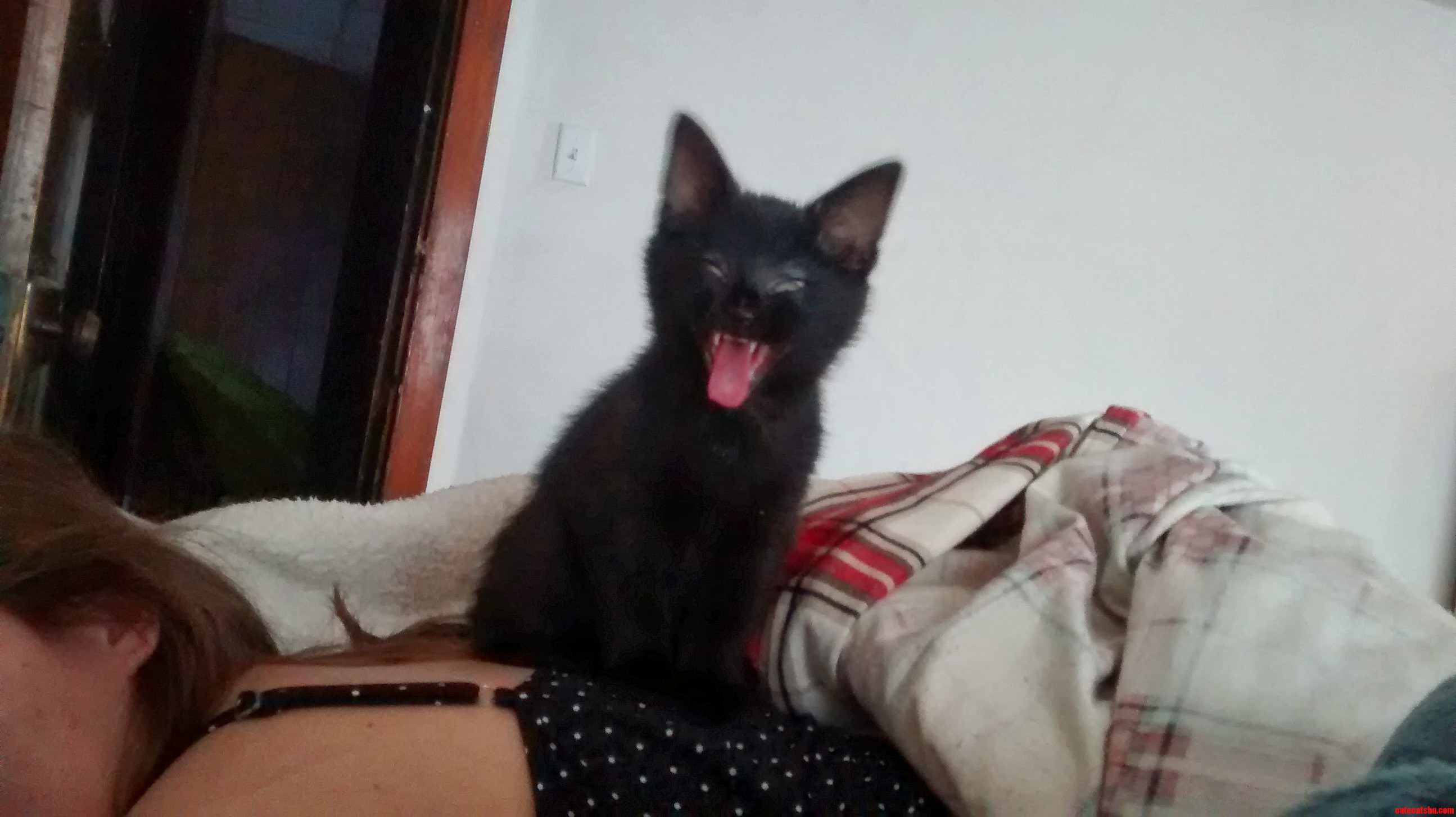 Only a Few Weeks Old and He Already Thinks Hes in Charge.