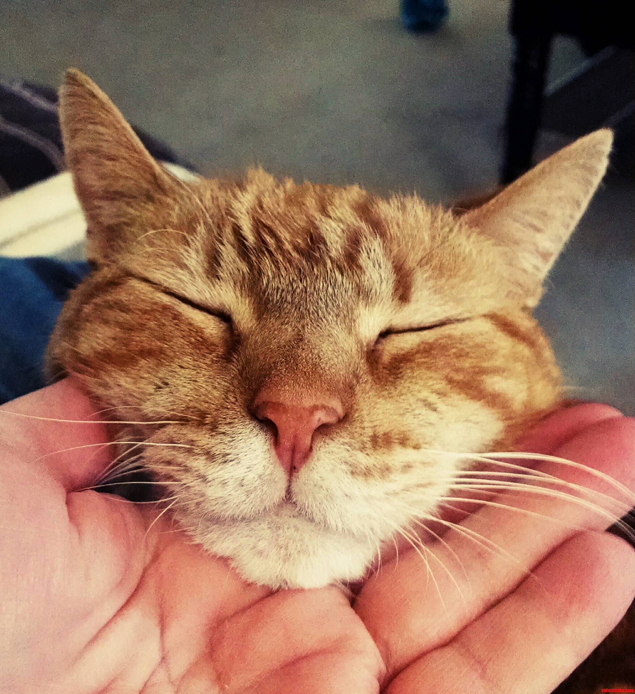 Oooh Dat Face