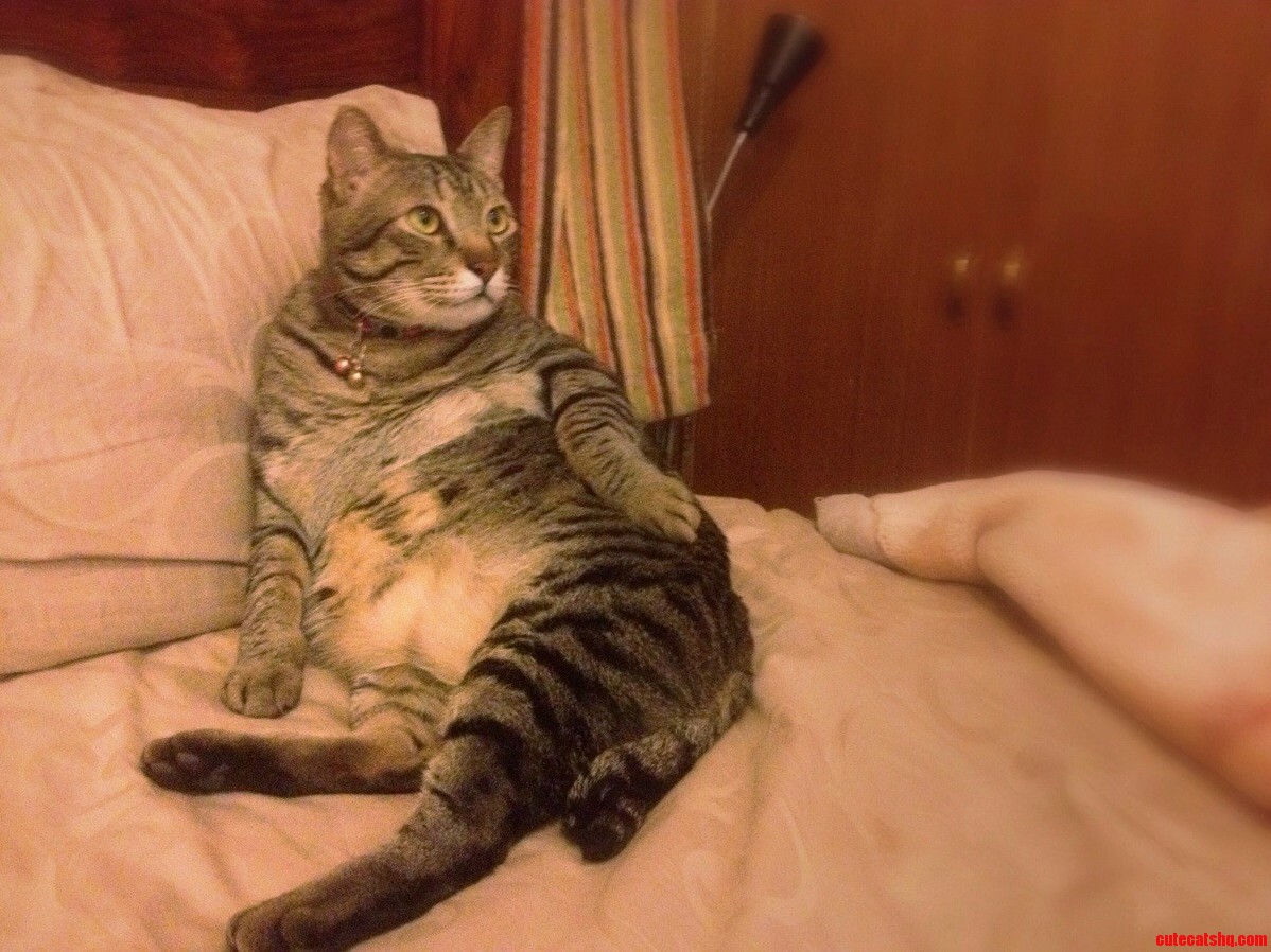 Paint Me Like One of Your French Boys