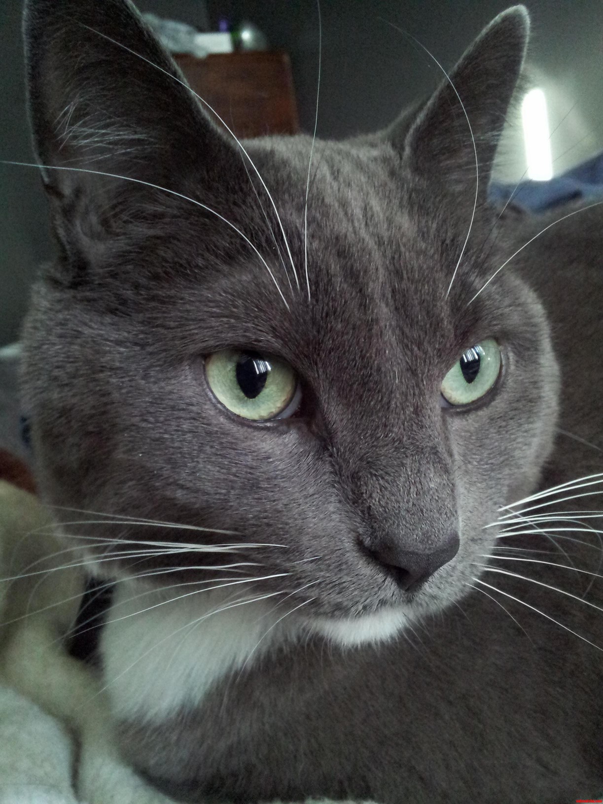 Parker Is Pretty Photogenic...