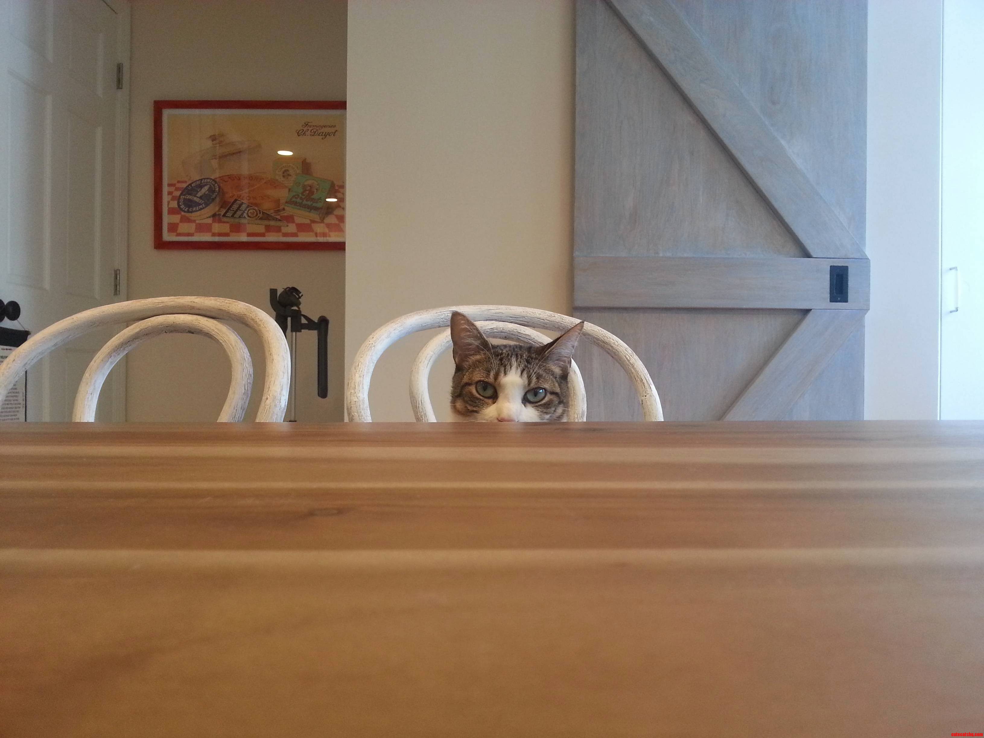 Peek-a-boo