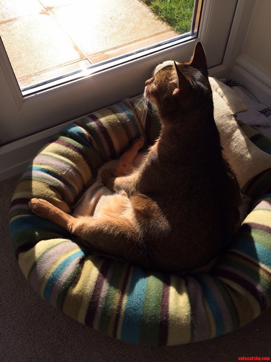 Perfect Sunbeam Positioning