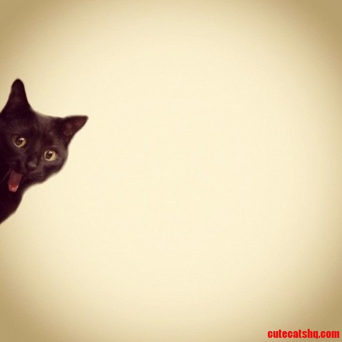 Perfect Timing