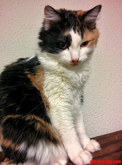 Plotting My Demise.