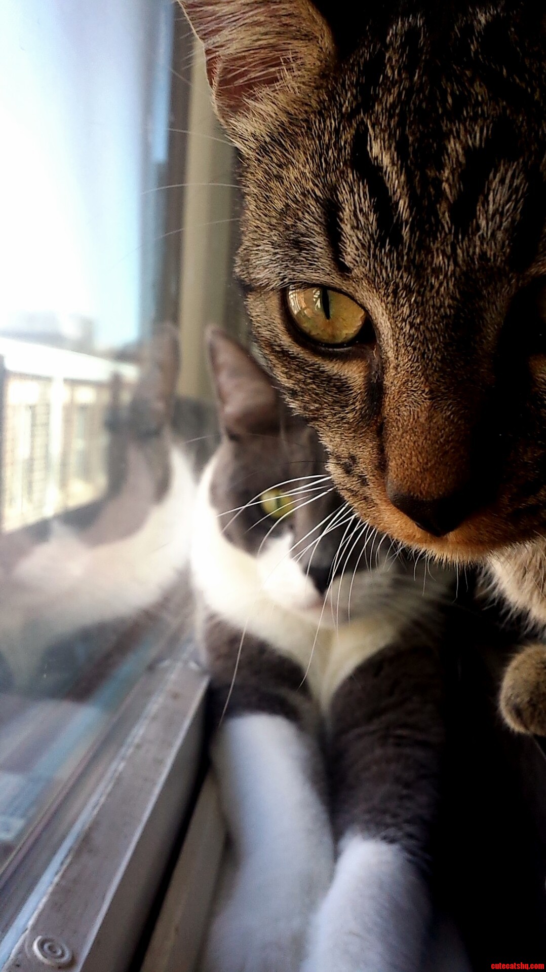 Posing for the Camera