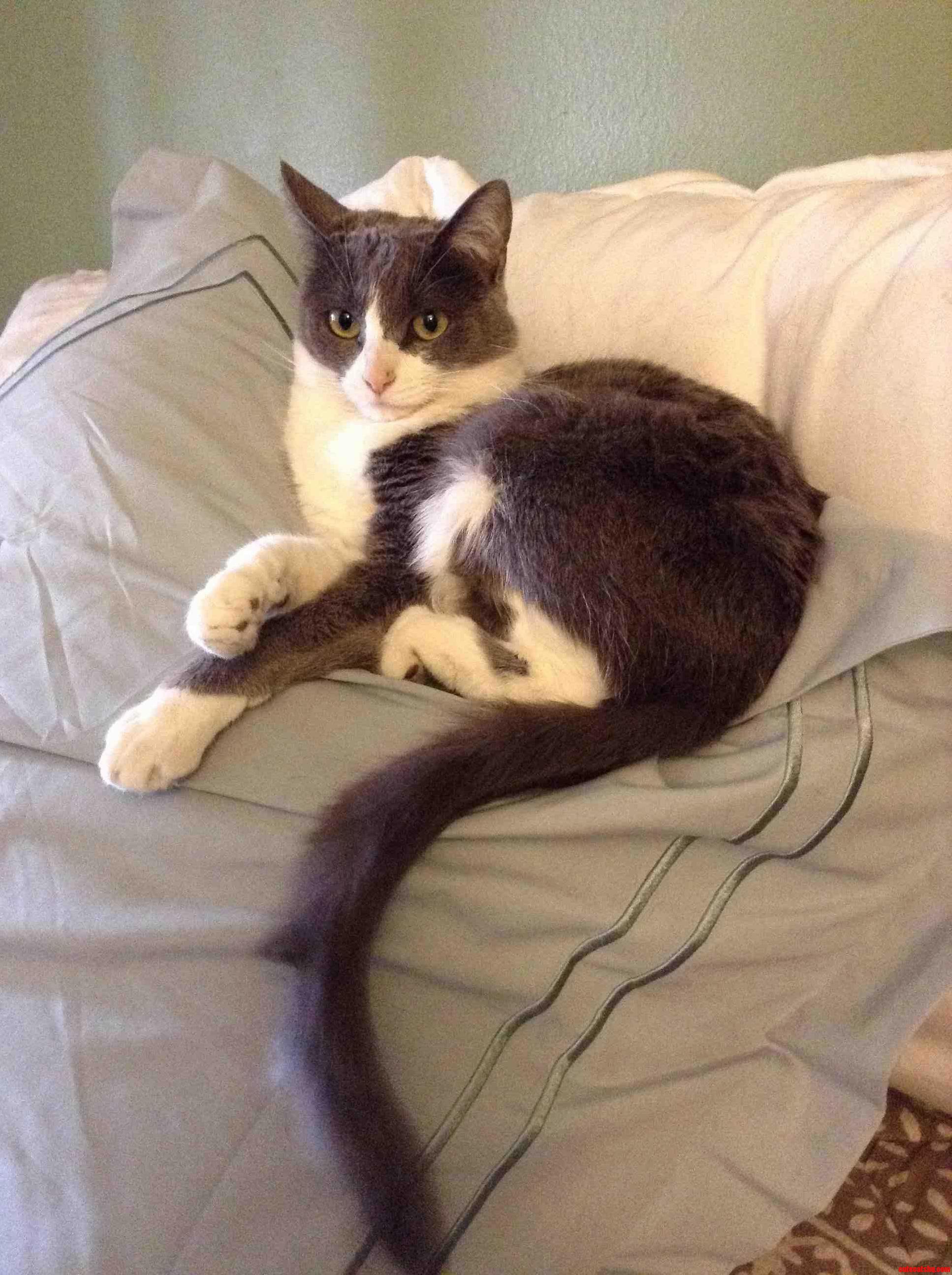 Princess Lila