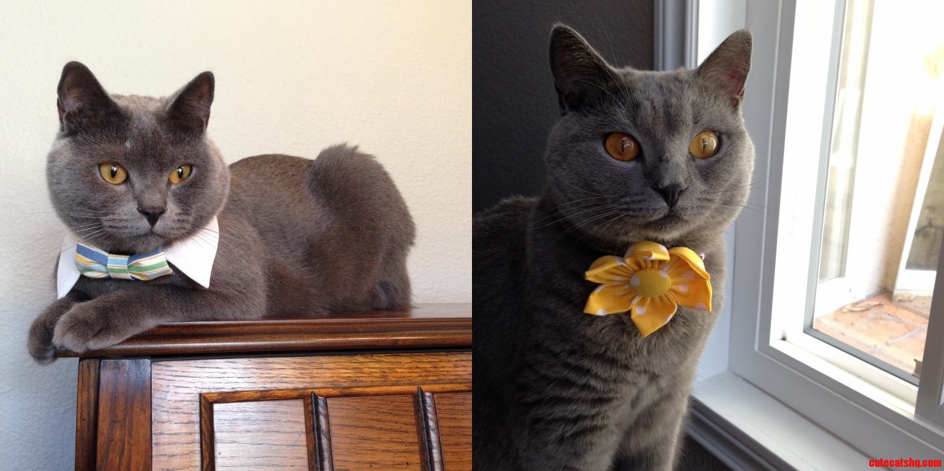 Ready for Spring in Their Dapper Duds