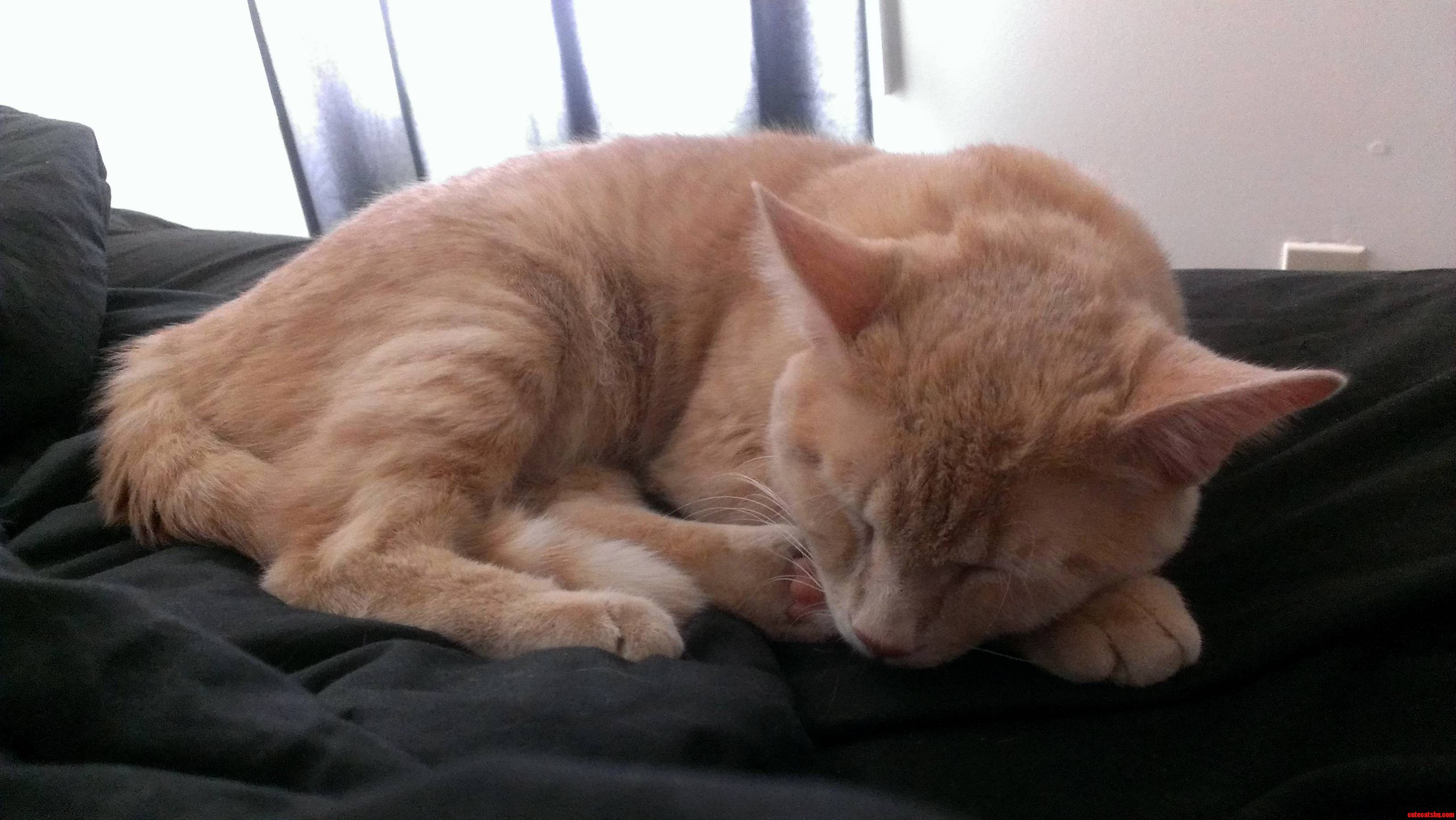 Recovering from His Recent Loss of Manhood My Tyrion.