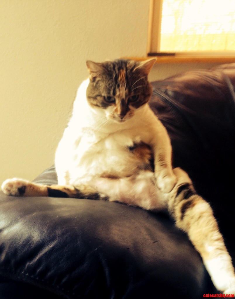 Rest in Peace You Fat Glorious Bastard.