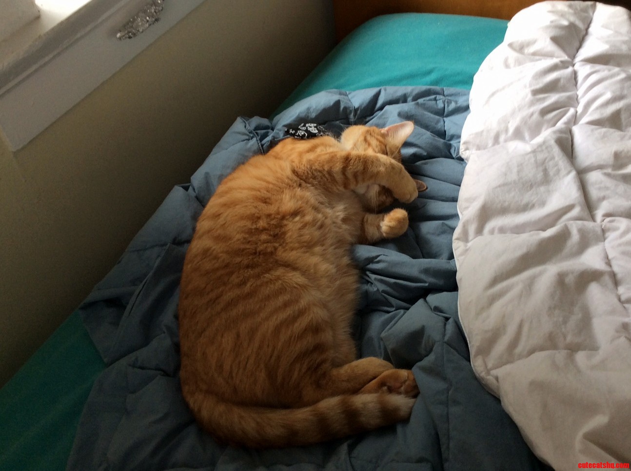 Rough Night Man. Rough Night.