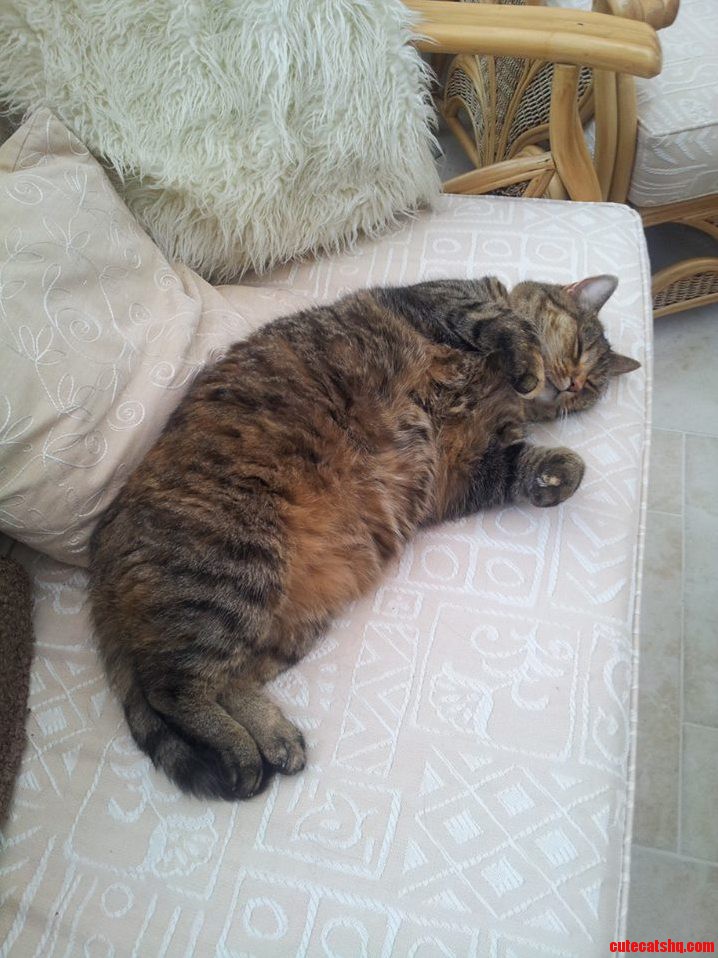 Say Hello to Mah Kitty - Flo