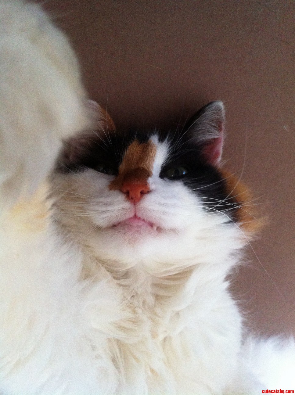 Seductive Selfie