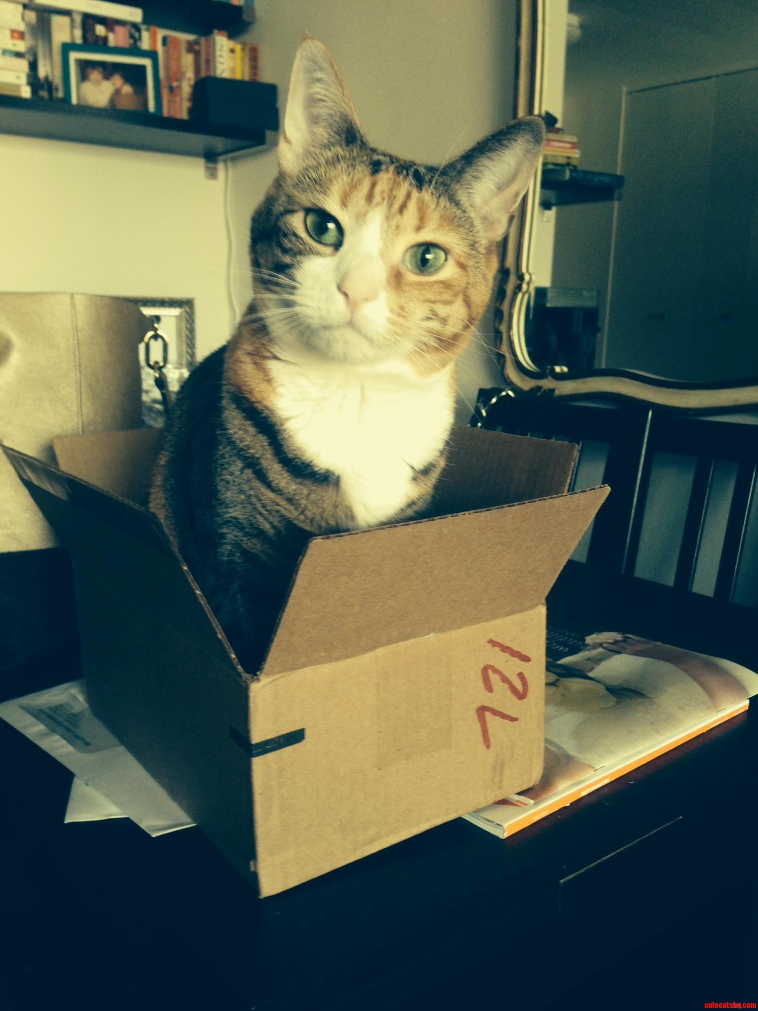 See I Fits.