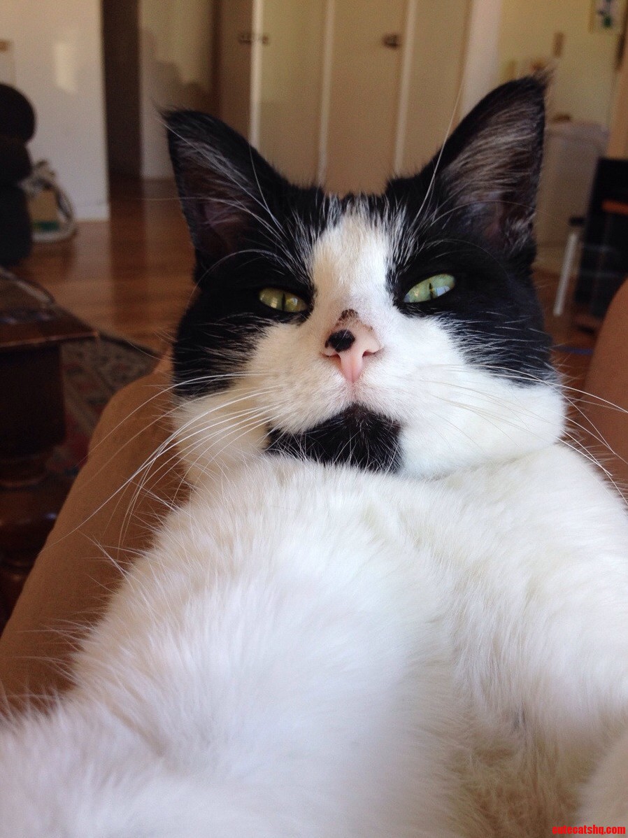 Selfie