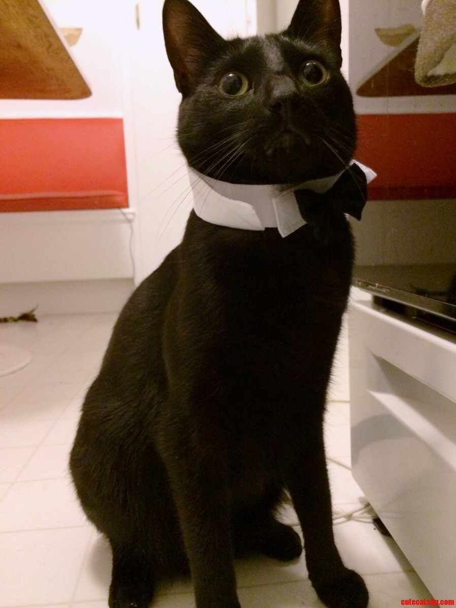 Shaken Not Stirred