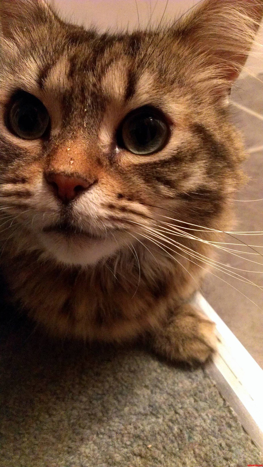 She Cant Even Drink Water Without It Ending Up All Over Her Face 3