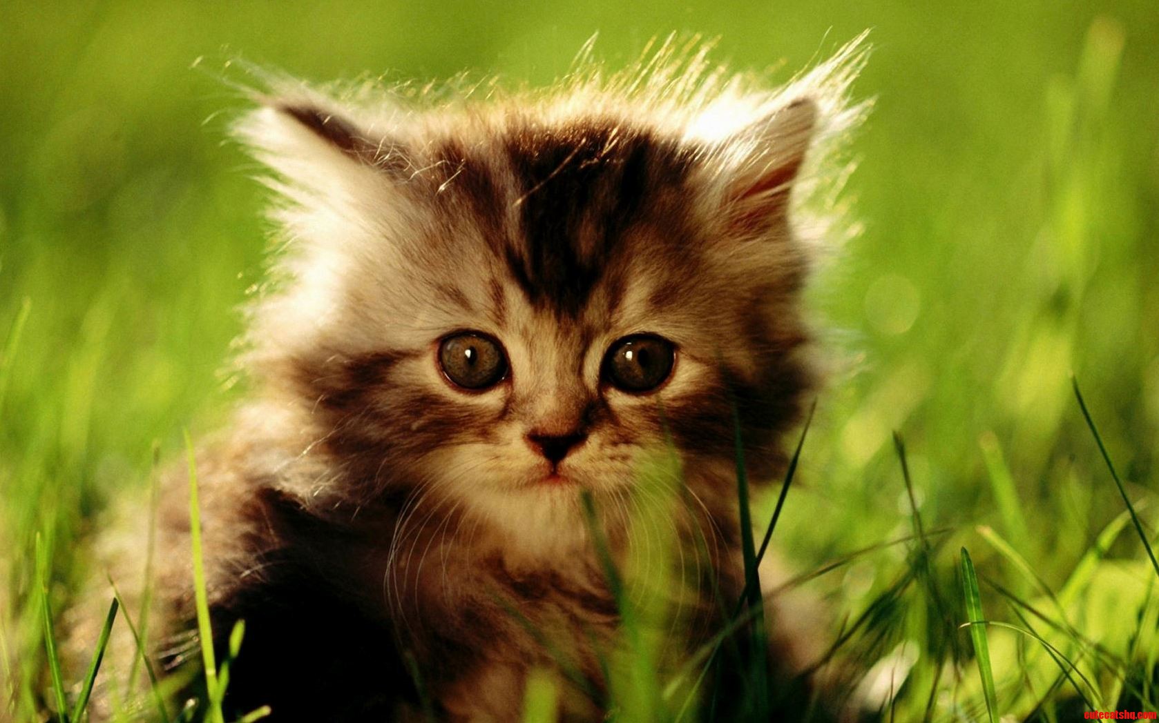 She Is Looking Confused