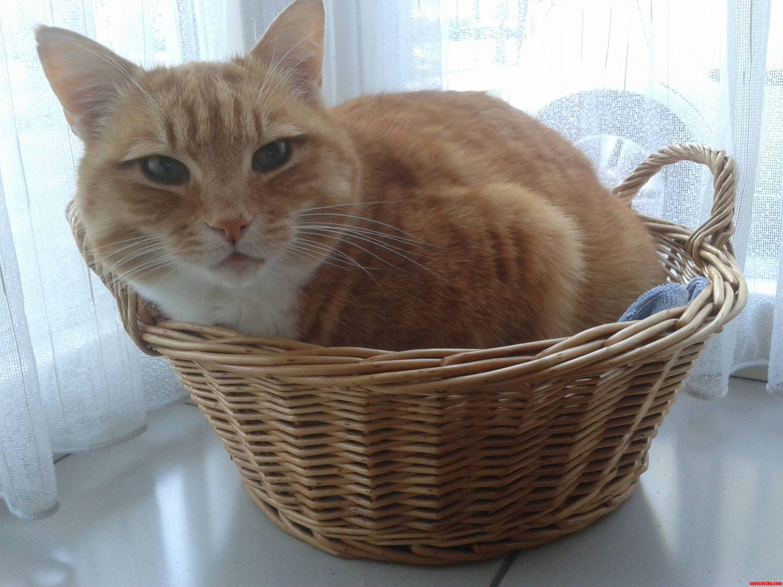 She Just Loves Her Baskets