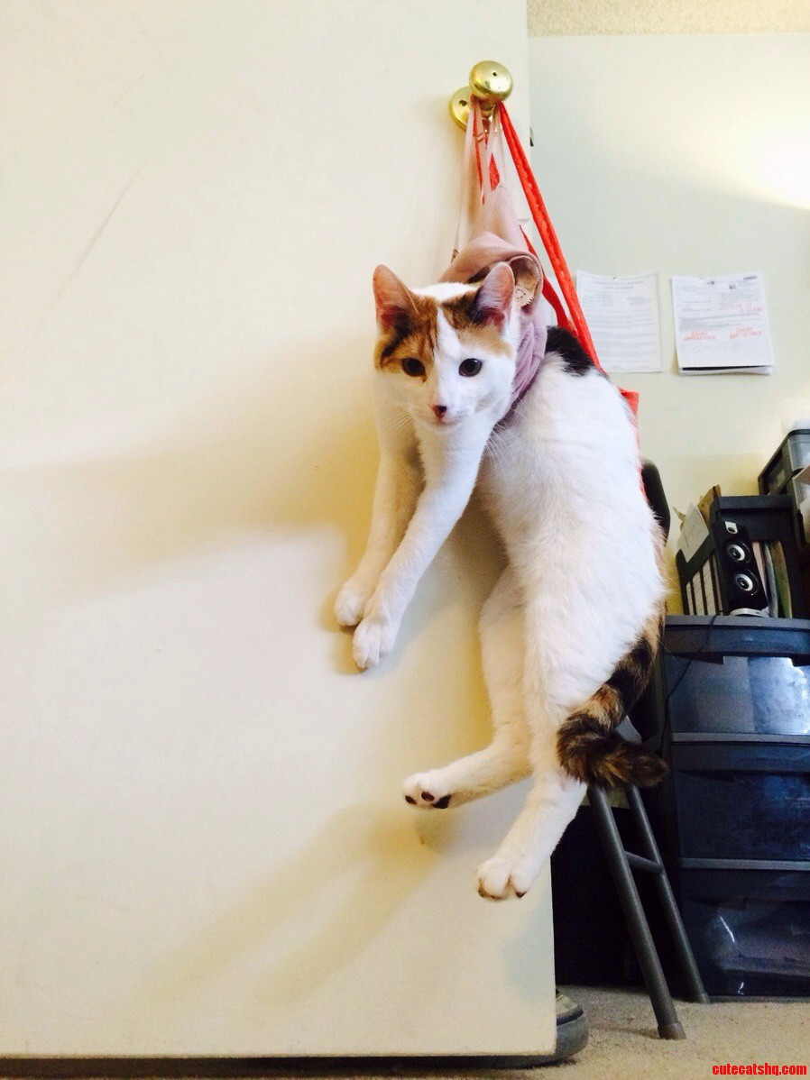 She Likes to Hang Out.