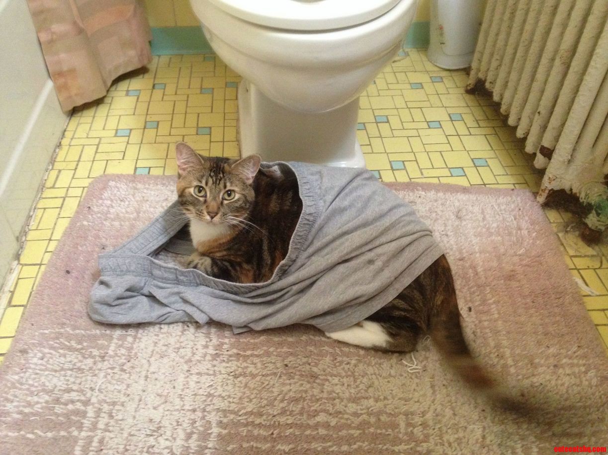 She Refused to Get Out When I Was Done