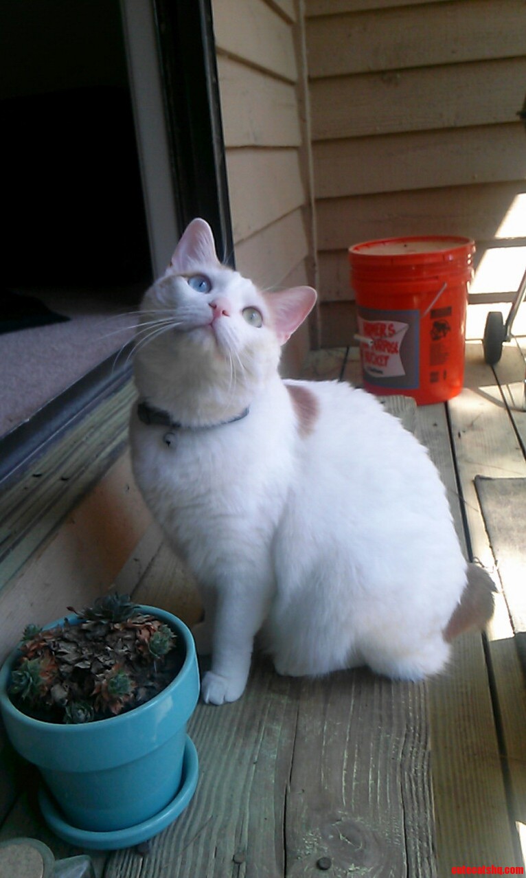 She Saw a Bug and Made the Most Ridiculous Face..