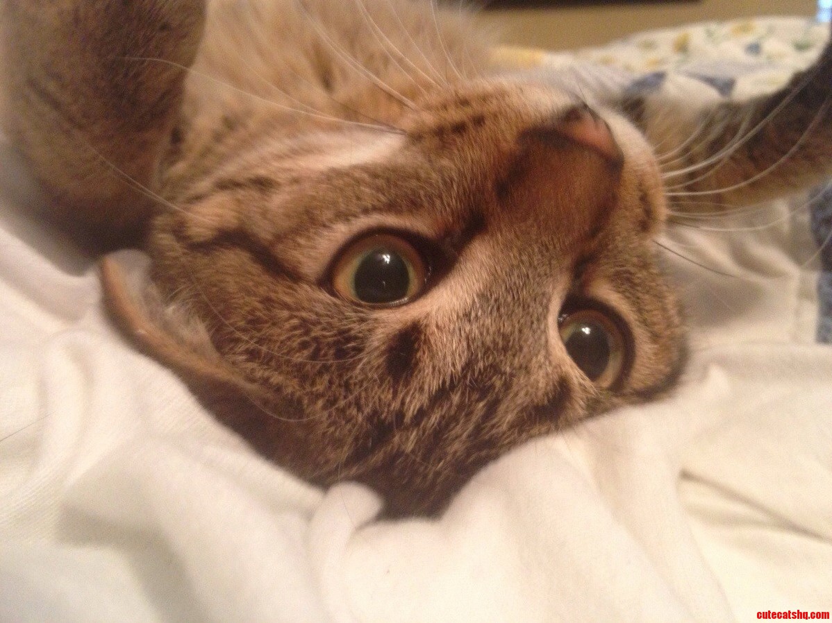 She Thinks Shes Terrifying
