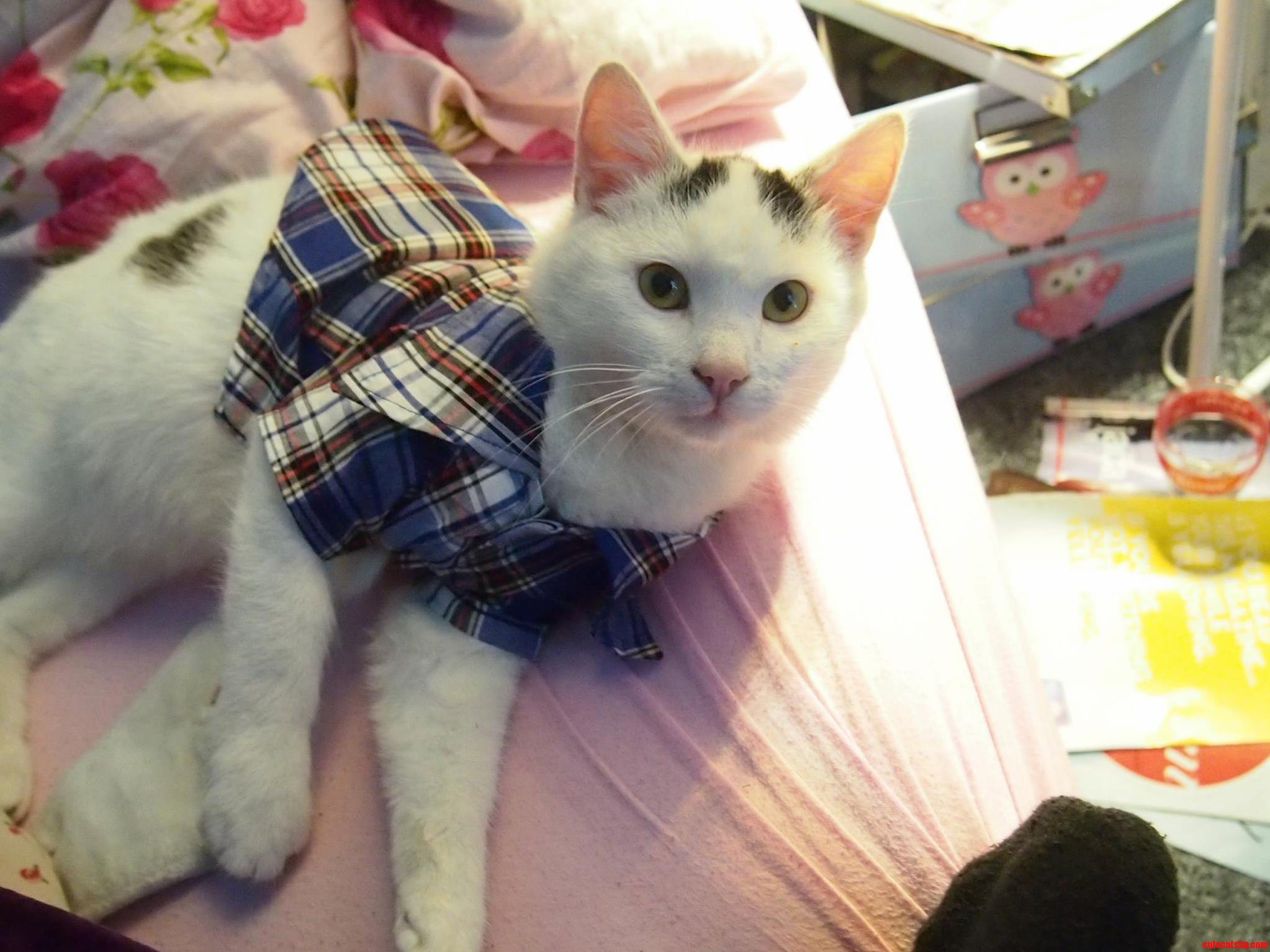 Sherlolly Is Trying to Decide If She Hates Her Name More Than Her Clothes