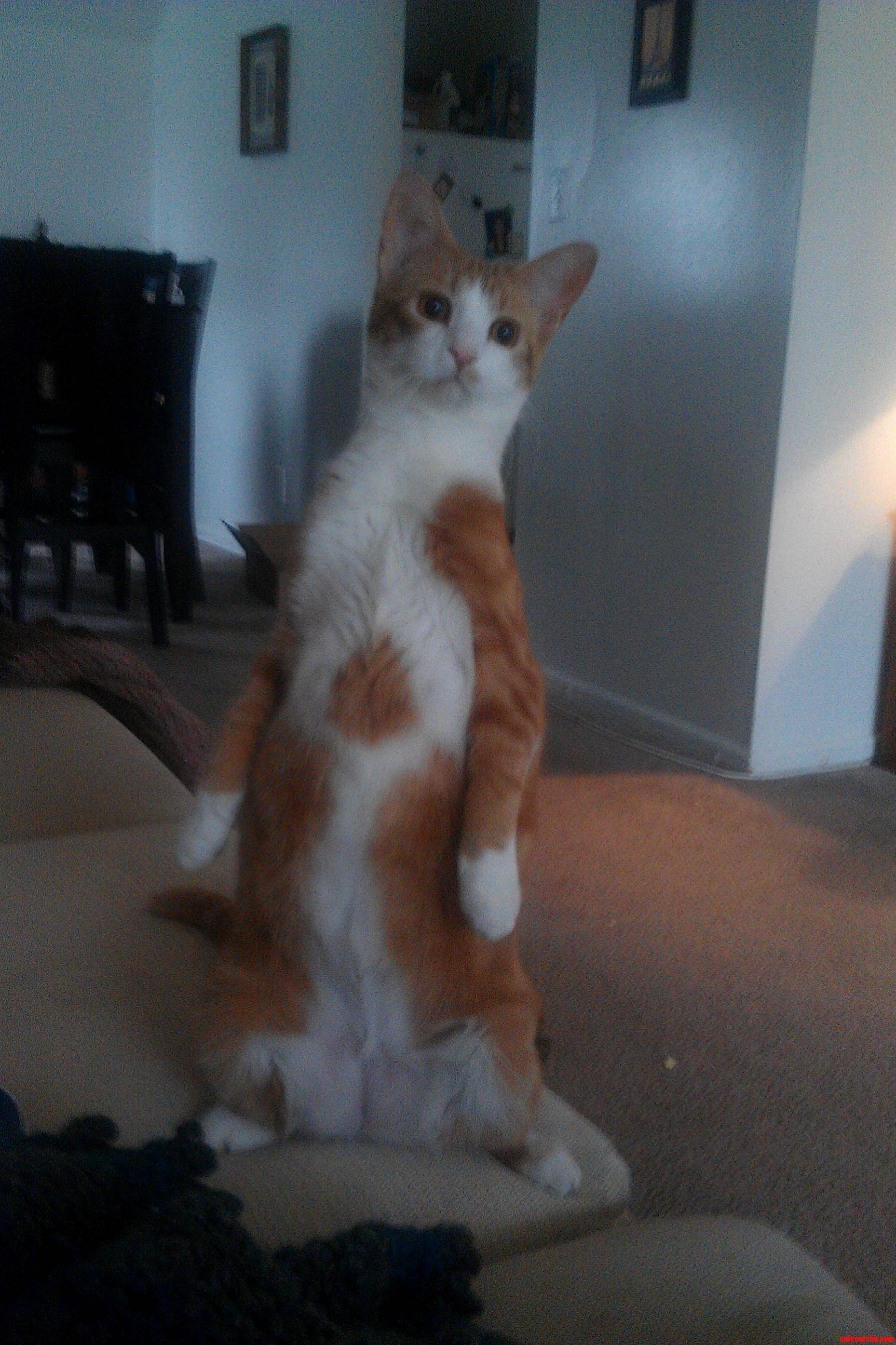 Shes Been Doing This All Morning. Im Not Sure What Shes Lookin At.
