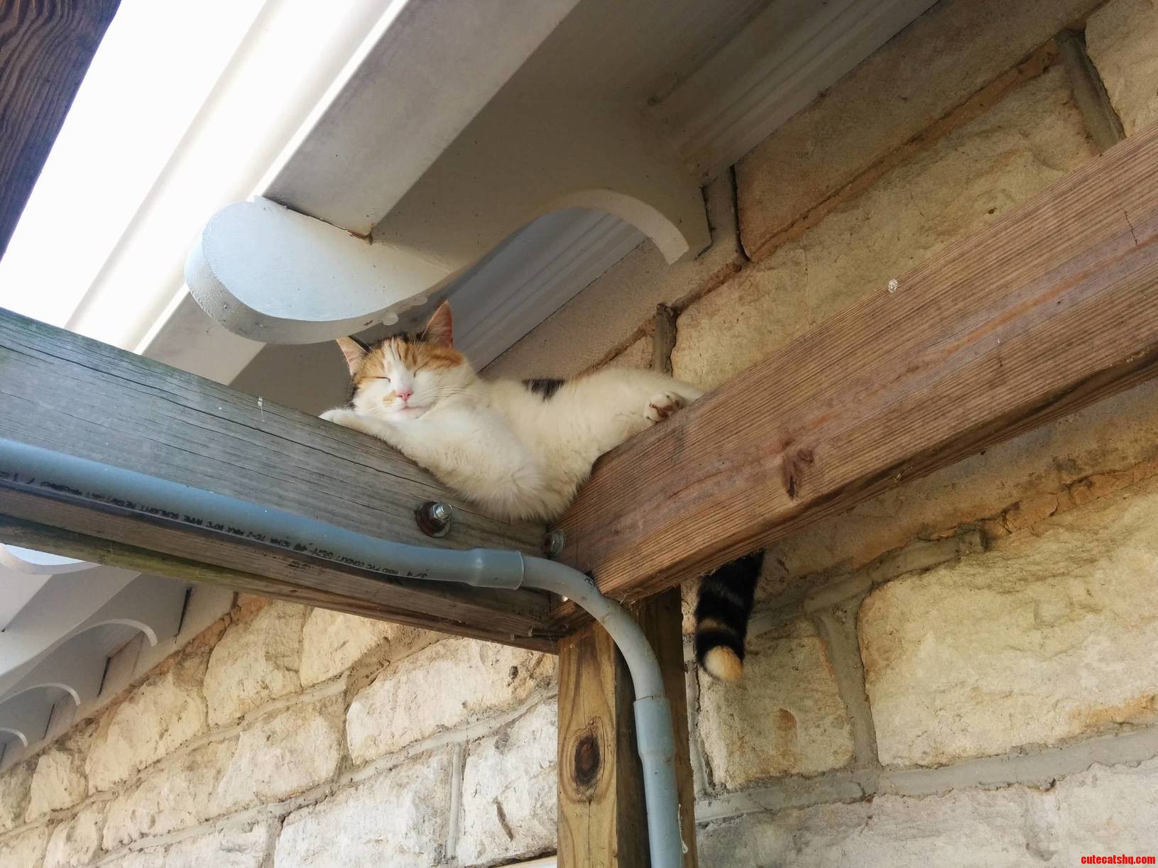 Shes Just Chillin Up There