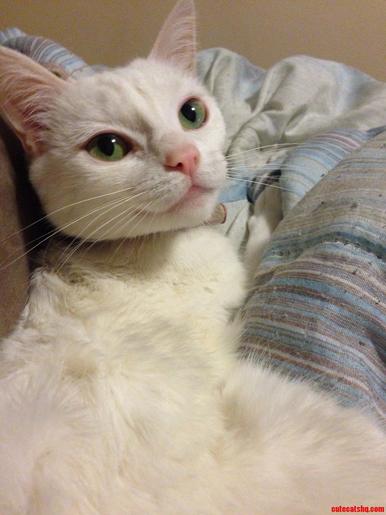 Shes Pretty Cute