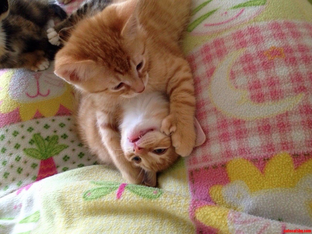 Sibling Rivalry Super Cute Style