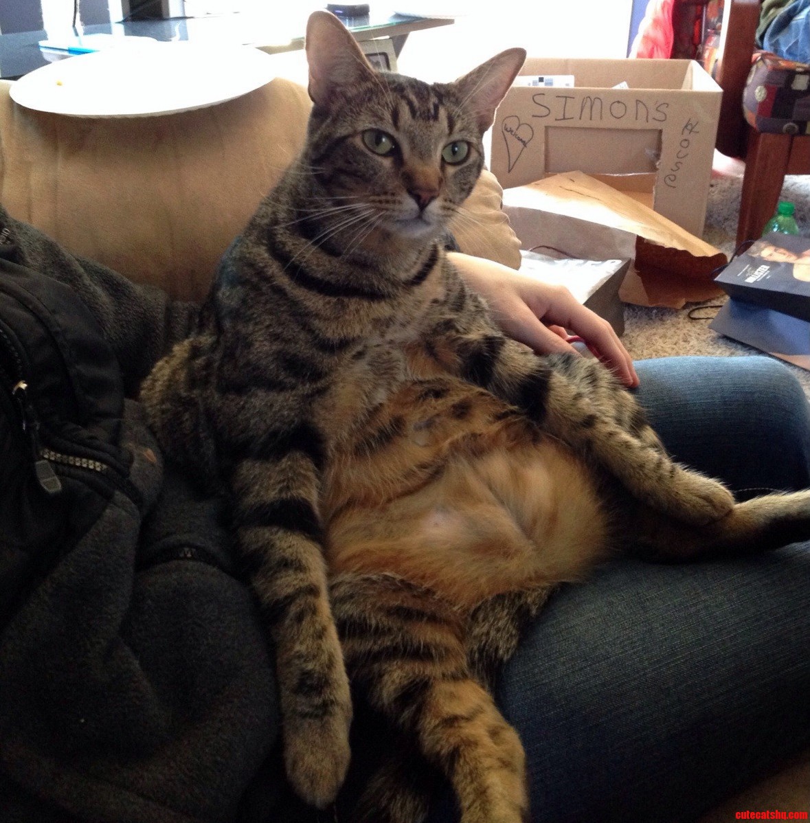 Simon Just Doesnt Care How He Sits