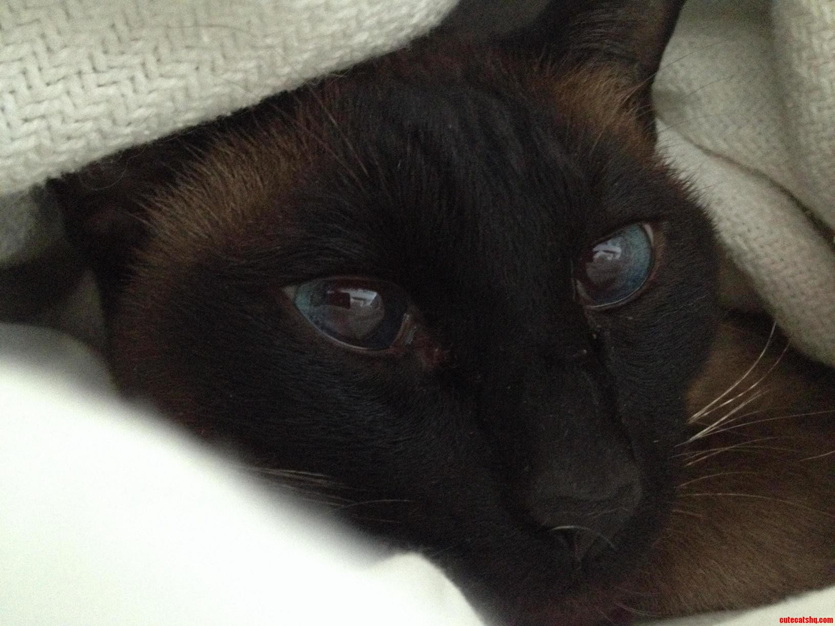 Sleeping In.