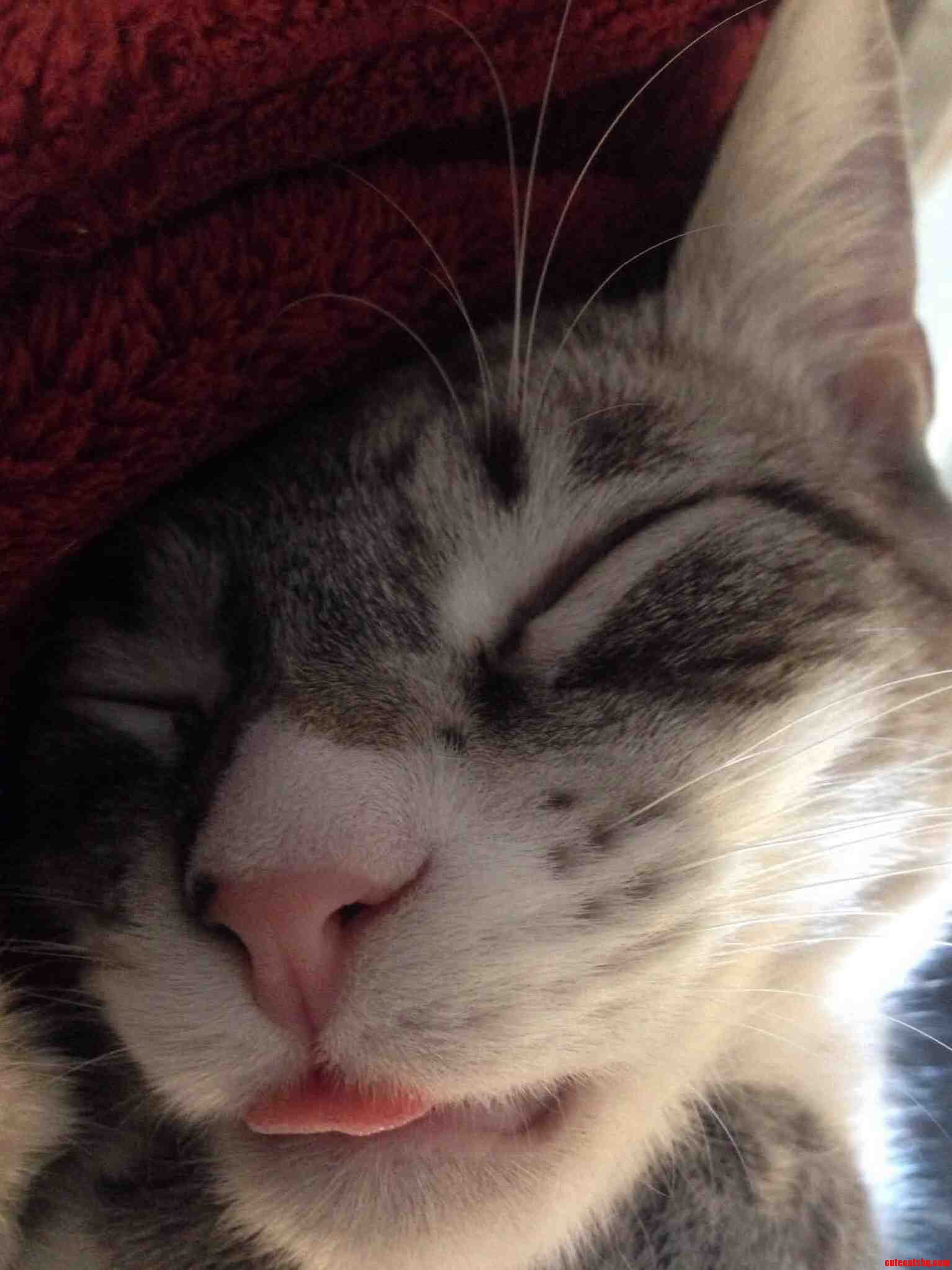 Snoozing