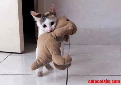 So Cute