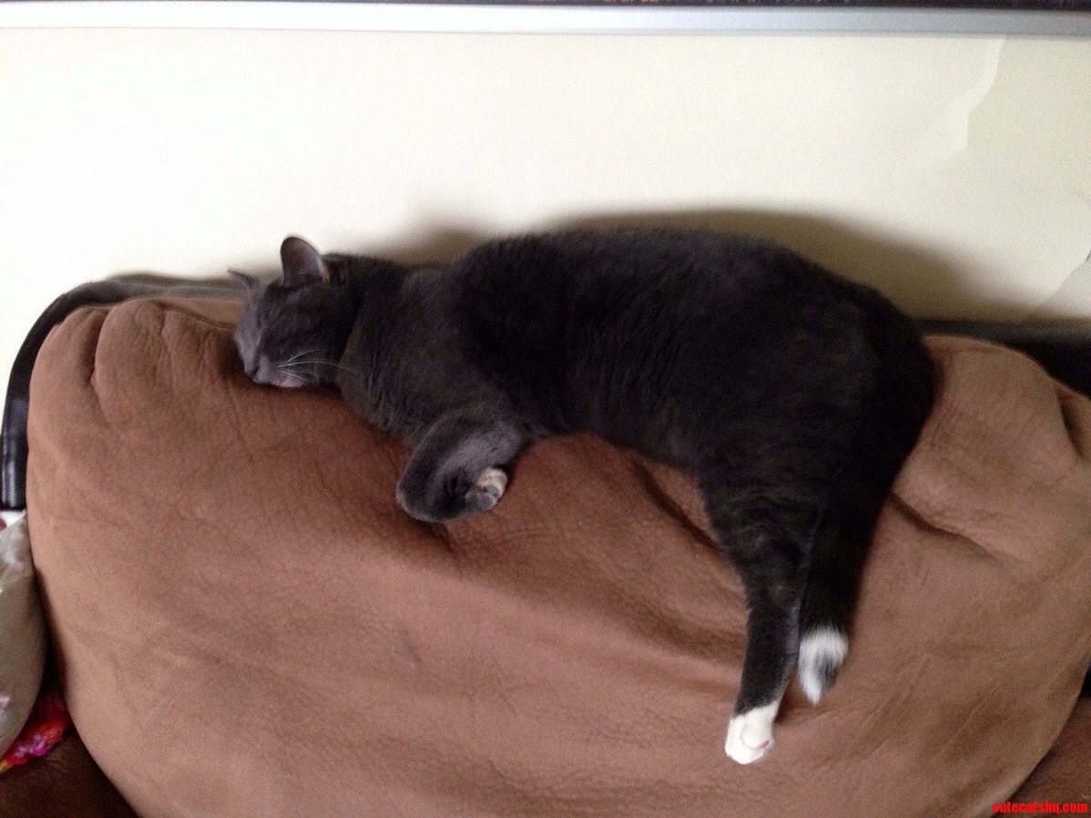 So Sleepy