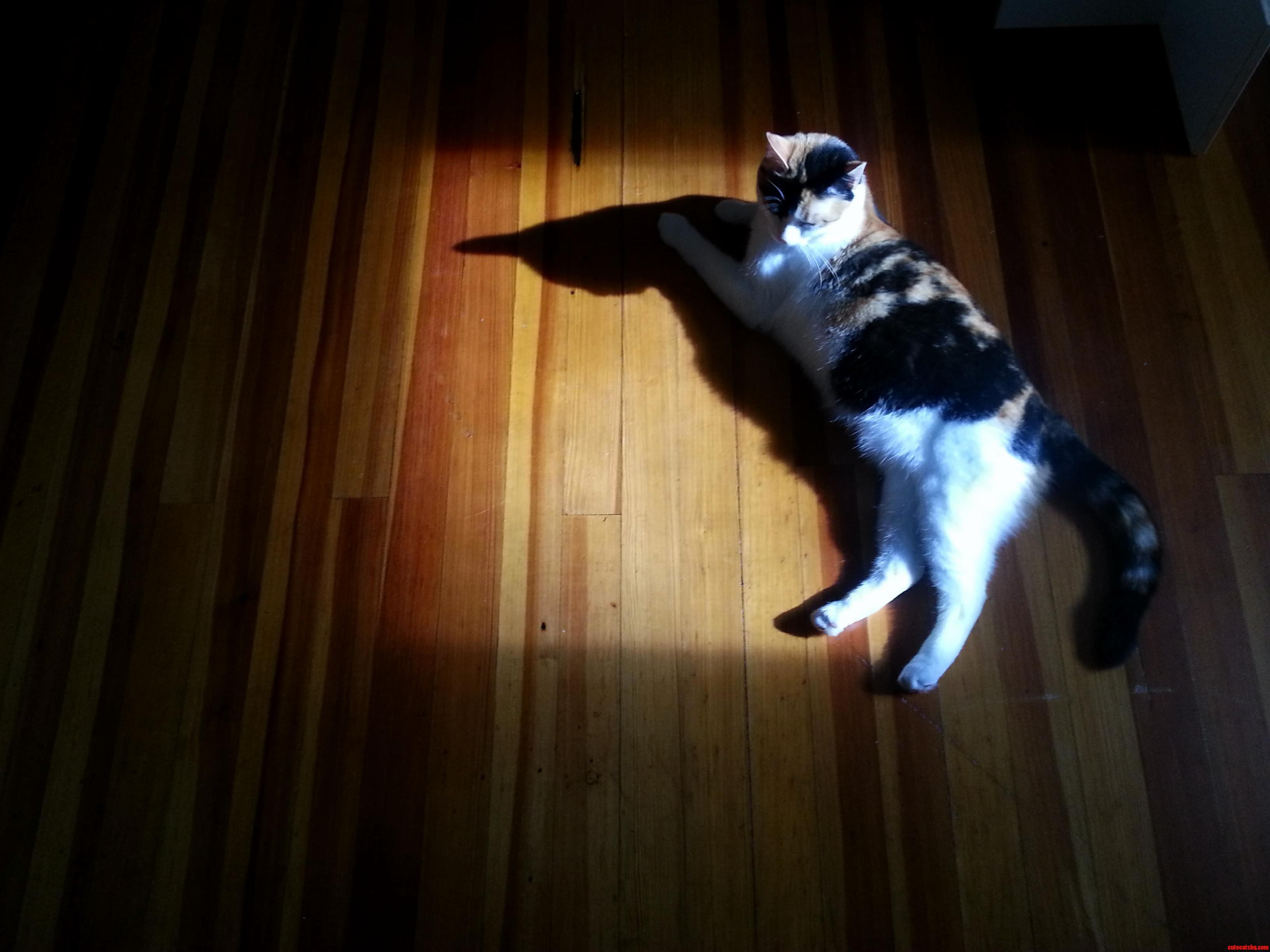 Soaking Up Some Winter Rays