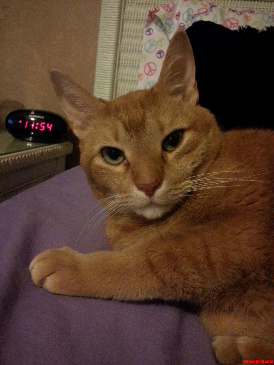 Sometimes He Lets Me Take a Good Picture.