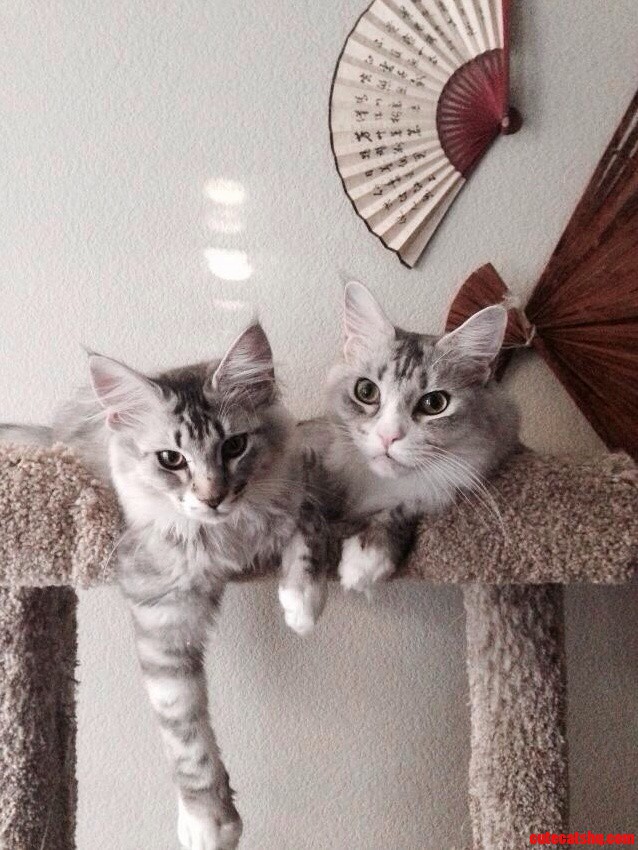 Son and His Mom.
