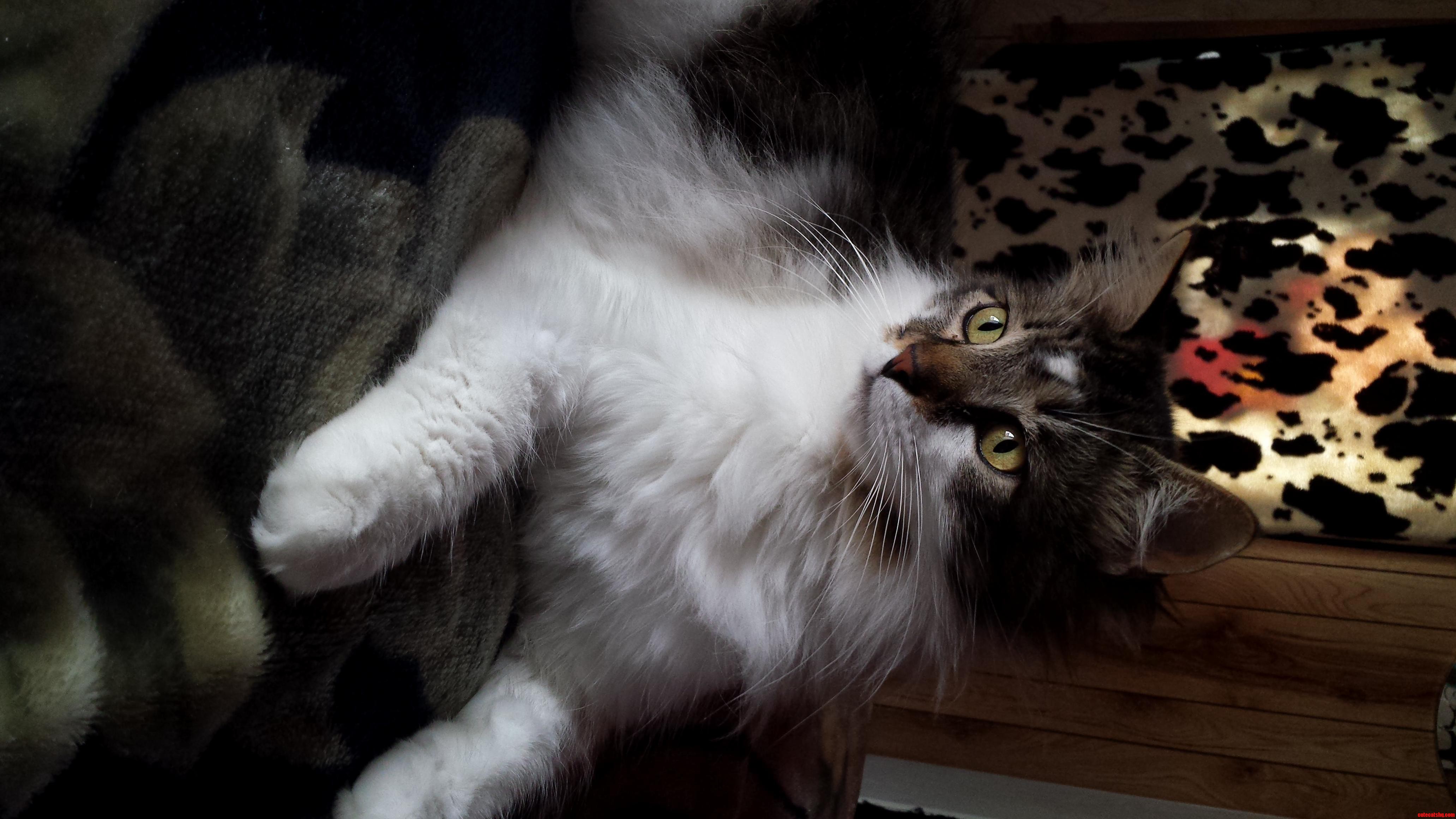 Sorry Its Sideways but This Is Oliver