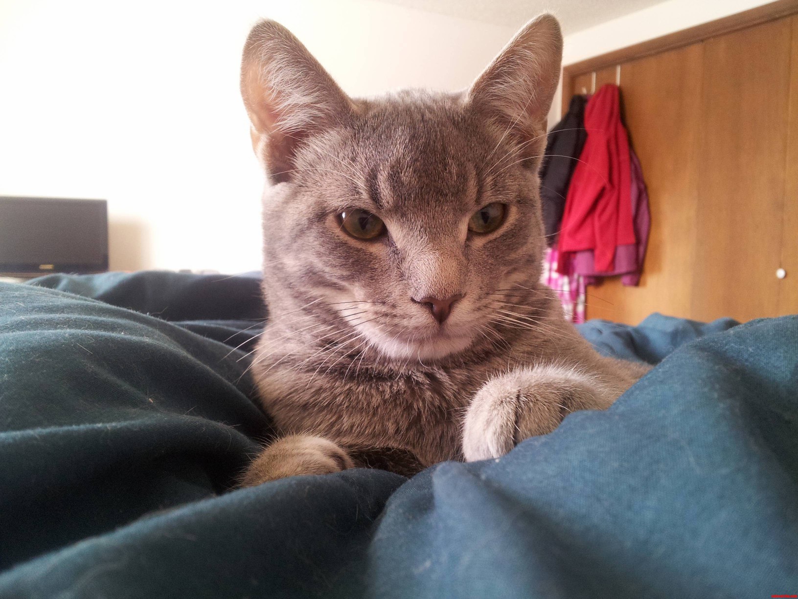 Spending a Lazy Afternoon in Bed with This Handsome Man.