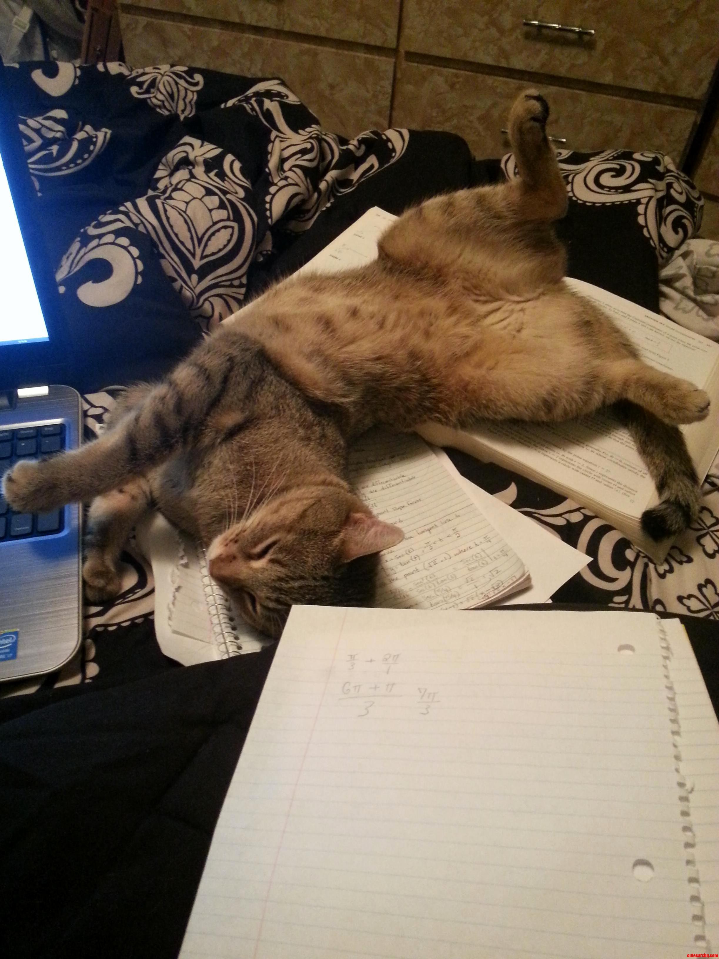 Studying Is Definitely Not Happening Now.
