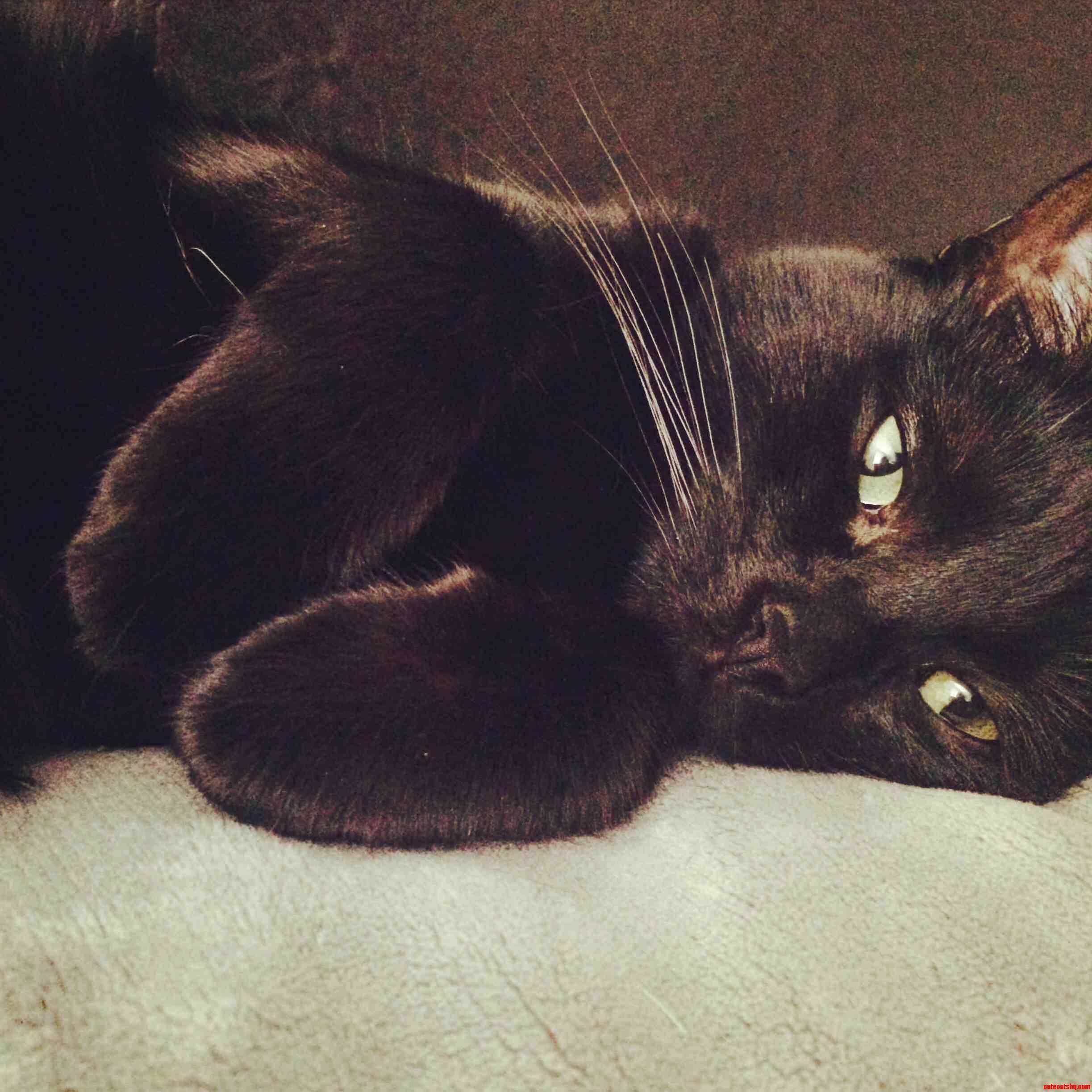 Such a Beautiful Face to Wake Up to