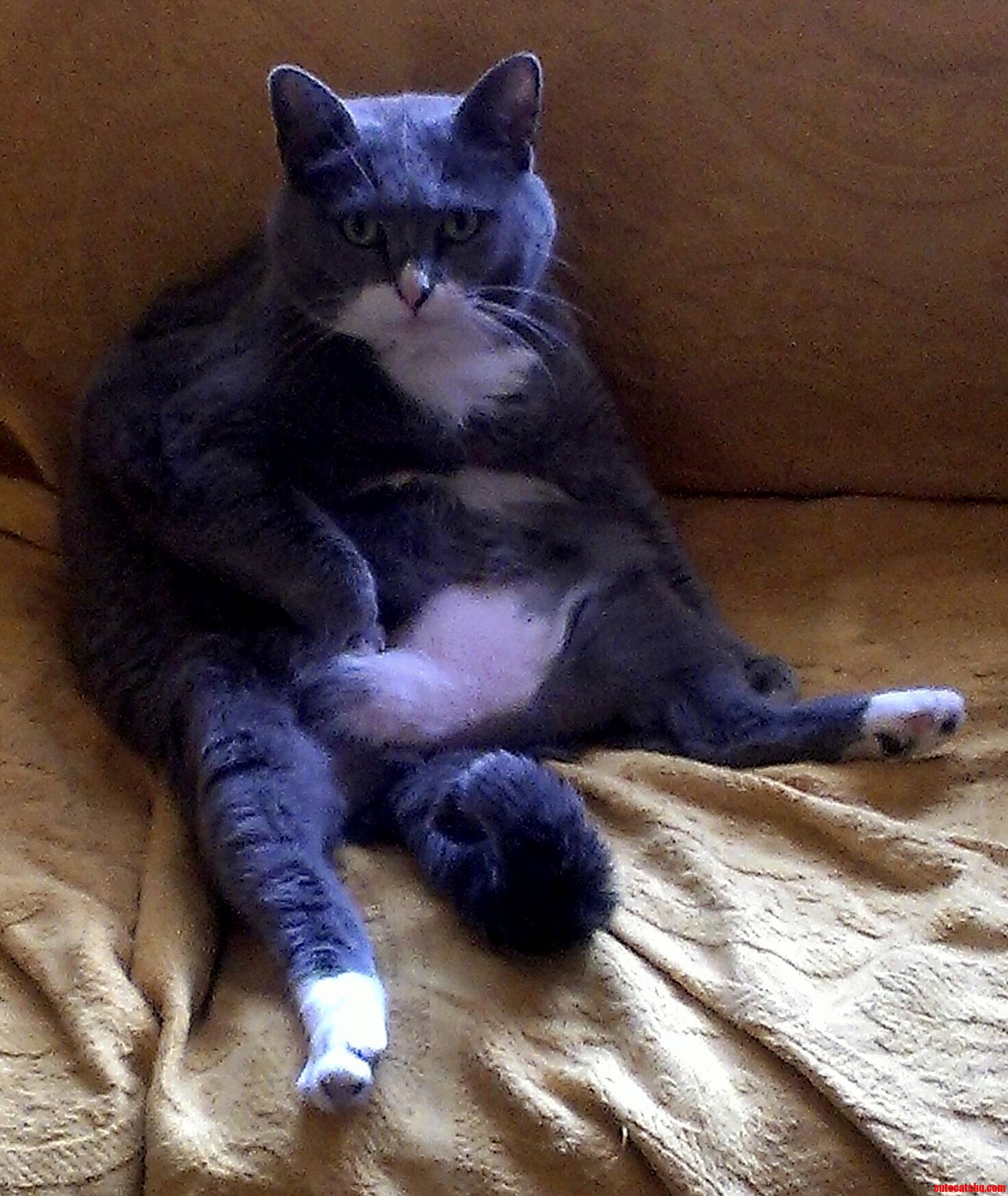 Such a Lady