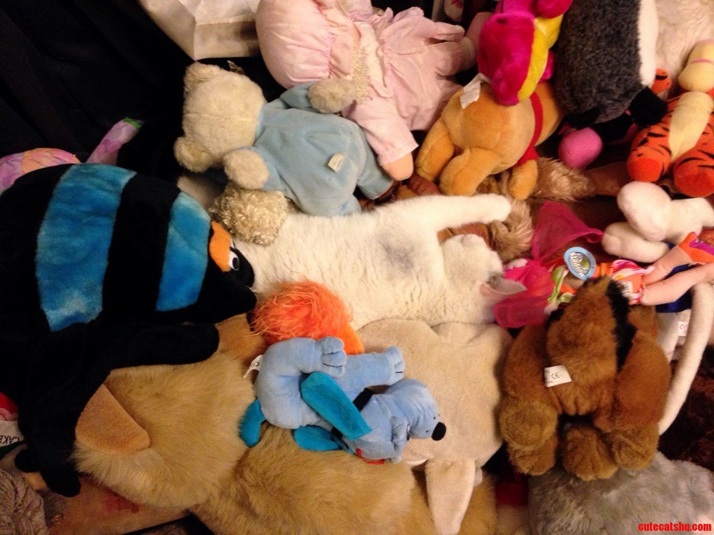Surrounded in Comfort.